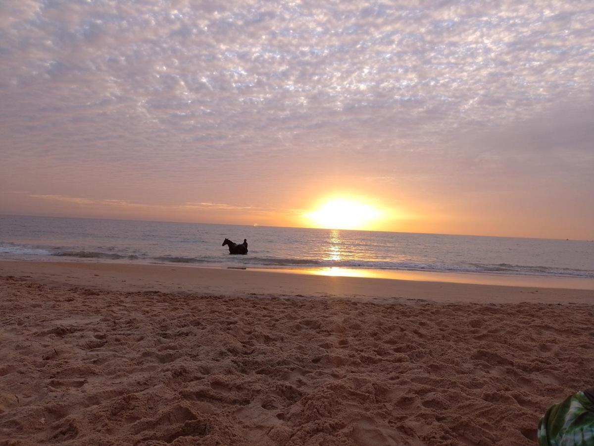 Paradisplage, 1 Minute De La Mer Saly Portudal Buitenkant foto