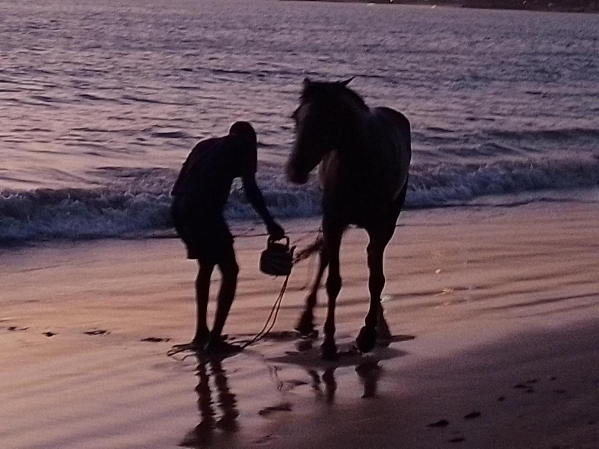 Paradisplage, 1 Minute De La Mer Saly Portudal Buitenkant foto